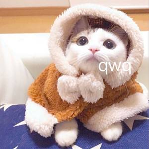 中国女人被黑人搞得受不了艳情快播
